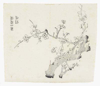 Deset bambusových seriálů od School Chinese