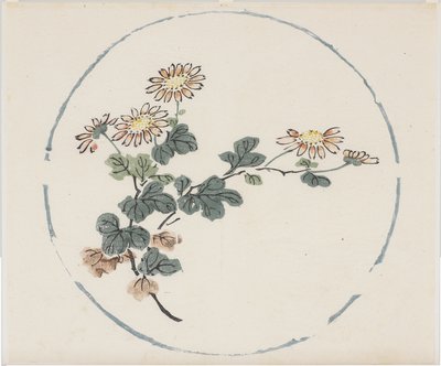 Deset bambusových seriálů od School Chinese
