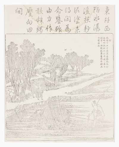 Obdělávání rýžových polí v suchém počasí od School Chinese