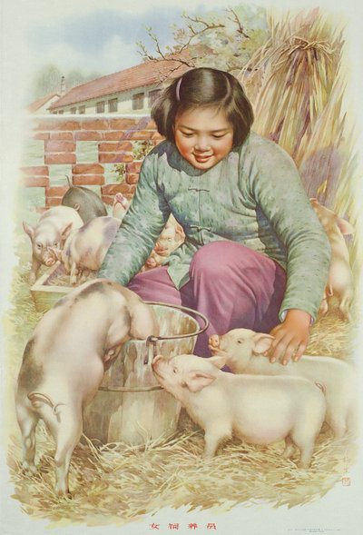 Chovatelka prasat (nebo chovatelka prasat), propagandistický plakát z období čínské kulturní revoluce (barevná litografie) od School Chinese