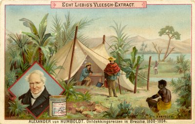 Objevitelská výprava Alexandra von Humboldta, Liebigova karta (tisk) od School Dutch