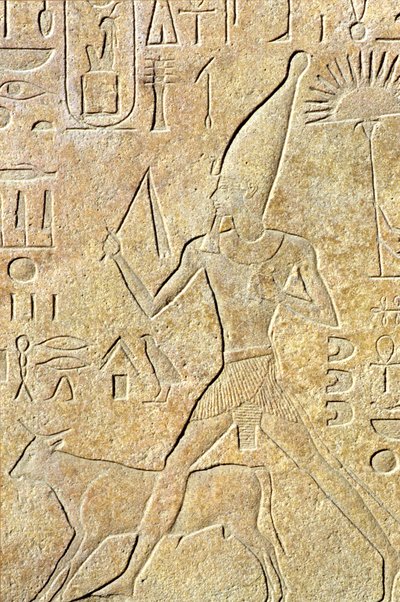 Starověký Egypt, Nástěnná řezba, Karnak/Luxor, Hatšepsut běží s býkem, Festival Heb-sed od School Egyptian