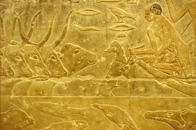 Starověký Egypt, Nástěnné řezby/malby, Mastaba/Tomb of Idout, Sakkára, 6. dynastie, Dobytek brodí řeku, Muž pomáhá teleti přes řeku, Matka se dívá (foto) od School Egyptian