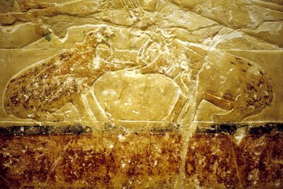Starověký Egypt, Nástěnná malba, Mastaba/Tomb of Idout, Sakkára, 6. dynastie, Dva bojující hroši (foto) od School Egyptian