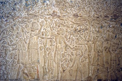 Starověký Egypt, Nástěnné řezby/malby, , Petosirisova hrobka, Tuna el Gebel, 300 př. n. l., Sklízení hroznů pro výrobu vína (foto) od School Egyptian