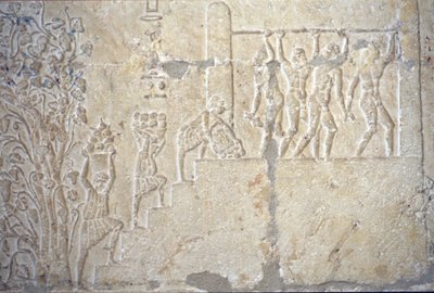 Starověký Egypt, Nástěnné řezby/malby, Petosirisova hrobka, Tuna el Gebel, 300 př. n. l., Sklizeň vína, Výroba vína, Lis na víno (foto) od School Egyptian