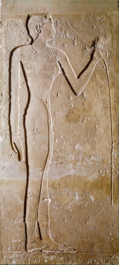 Egyptský starověk: mladá žena má lotosový květ. Vápenec. 5. dynastie, 2300 př. Kr. Ztlumit. 145 cm Paříž, Musee du Louvre od School Egyptian