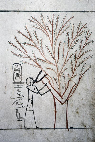 Luxor, Théby: Údolí králů. Hrobka Thutmose (Tuthmosis nebo Thutmes) III (-1504 - -1450), egyptského faraona. od School Egyptian