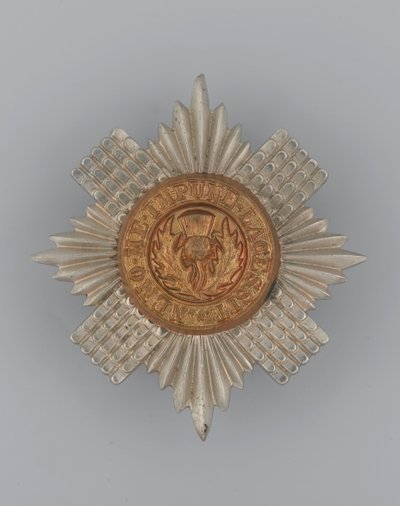 Odznak čepice, kolem 1896-1920 (kov) od School English