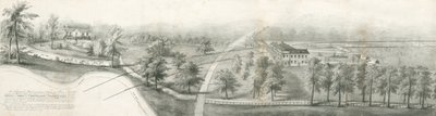 Fenton Hall a Whieldon Grove: litografie a [?19. století] (tisk) od School English