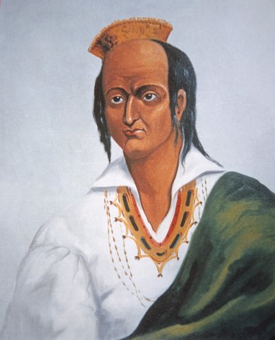 Metacomet (barevné lito) od School English