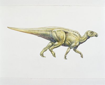 Hadrosaurid nebo dinosaurus s kachním zobákem (barva litho) od School Italian