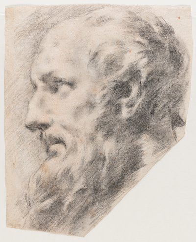 Hlava profilu (Uhel na papíře) od School Italian