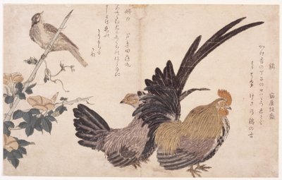 Kohout, Slepice A Pták od School Japanese