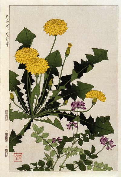 Květiny pampelišky - japonský tisk od Japanese School