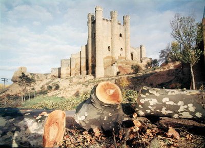 Hrad Castillo de Coyanza, postavený hrabaty z Valencie ve 14.-15. století (foto) od School Spanish