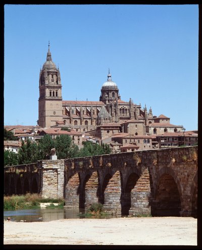 Pohled na římský most na řece Tormes a katedrálu od School Spanish