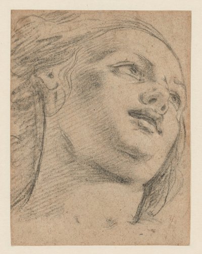 Studie ženské hlavy při pohledu nahoru doprava (recto); Studie dvou figur nesoucích předmět (verze) od School of Guido Reni