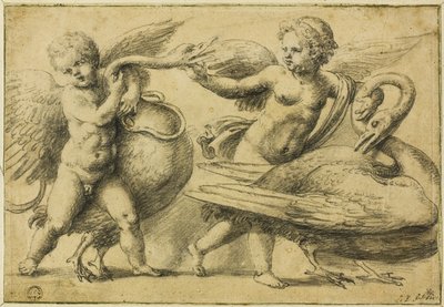 Putti si hraje s labutěmi od School of Raphael