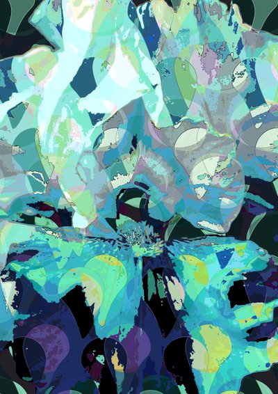 Iris (digitální) od Scott J. Davis