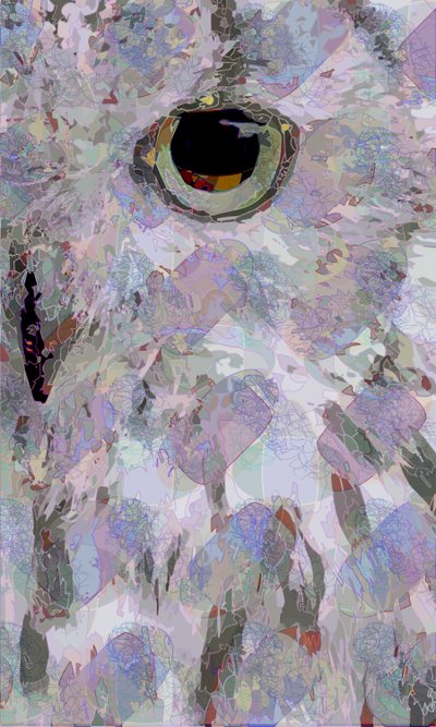 Owl3 (digitální) od Scott J. Davis