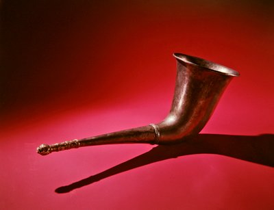 Nápojový roh se lví hlavou (stříbrná a zlatá) od Scythian