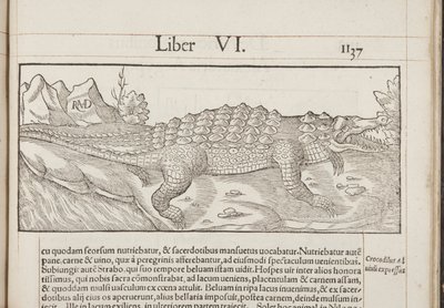 Cosmographia, Fol 1137, 1544 od Sebastian Munster