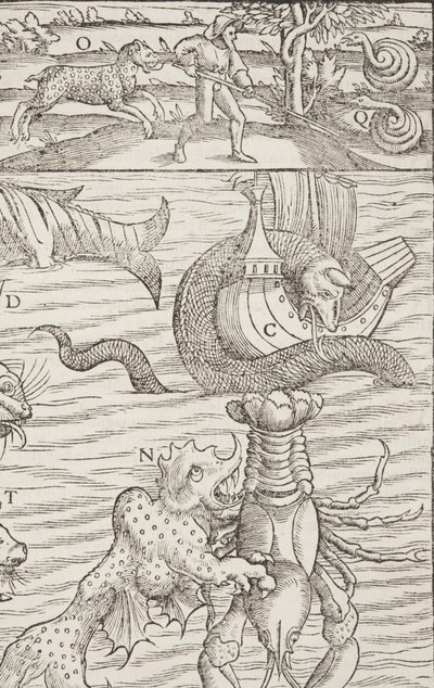 Cosmographia, Fol 853, 1544 od Sebastian Munster
