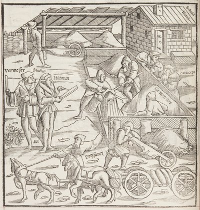 Cosmographia, detail Fol 436 (rytina) od Sebastian Munster