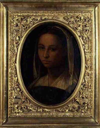 Portrét dívky (olej na plátně) od Sebastiano del (c.1485 1547) Piombo