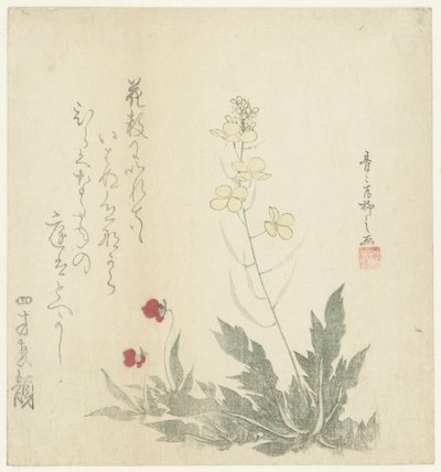 Kvetoucí rostliny od Seiseikyo Ryûshi
