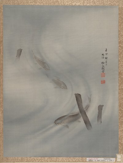 Ryby plavání, léto, 1891. od Seki Shuko