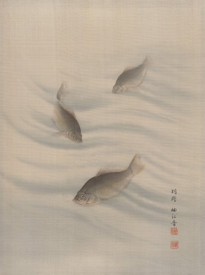 Ryby Plavání, ca. 1890-92. od Seki Shuko