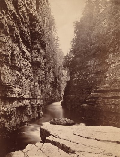 Ausable Chasm - Up the River from Table Rock od Seneca Ray Stoddard