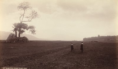 Jižně od Ames, North Elba,c. 1888 (foto) od Seneca Ray Stoddard