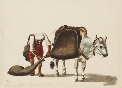 Nosič vody, c1810 od Sewak Ram