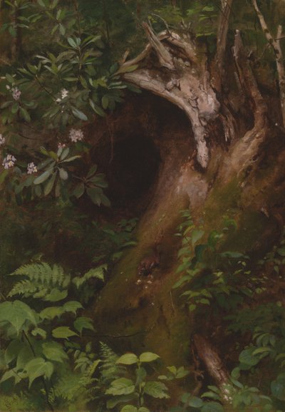 Veverka od Seymour Joseph Guy