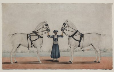 A Syce (ženich) držící dva kočárové koně, kolem roku 1845 (neprůhledný akvarel na papíře) od Shaik Muhammad Amir of Karraya (attr. to)