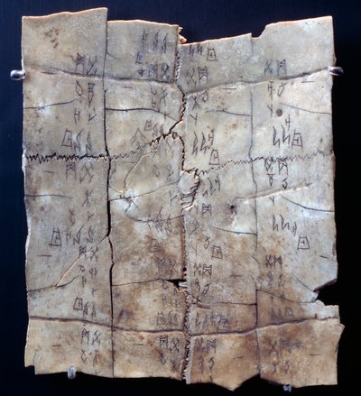 Piktogram na želvovém plastronu s textem věštění (želva plastron) od Shang Dynasty Chinese School