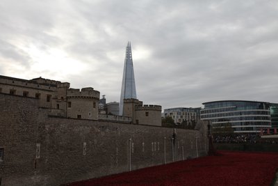 Krvavé země a moře rudé, Tower of London, 2014. od Sheldon Marshall
