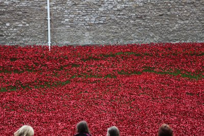 Krvavé země a moře rudé, Tower of London, 2014. od Sheldon Marshall