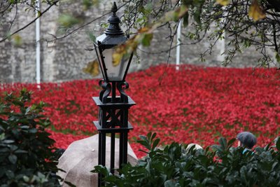 Krvavé země a moře rudé, Tower of London, 2014. od Sheldon Marshall