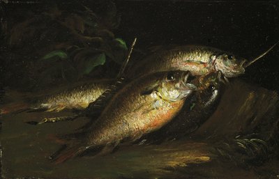 Ryba, 1842. od Shepard Alonzo Mount