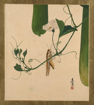  od Shibata Zeshin