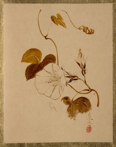  od Shibata Zeshin