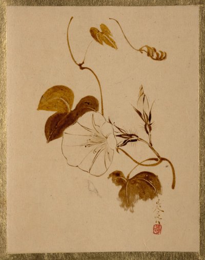 Ranní sláva. od Shibata Zeshin