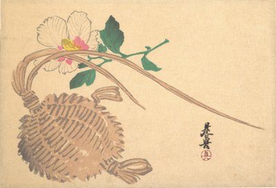 Košík na slámu na květinu Fish and Mokuge, ca. 1875, ca. 1875. od Shibata Zeshin