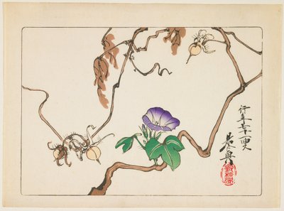  od Shibata Zeshin