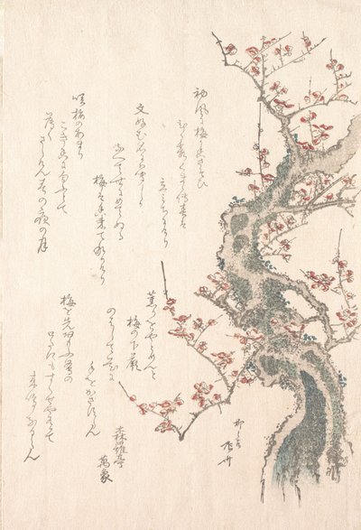 Spring Rain Collection Harusame shu, sv. 1: Plum Tree in Bloom, ca. 1805-10, ca. 1805-10. od Shinsai