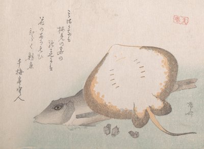 Stingray a Gurnard, pravděpodobně 1815., pravděpodobně 1815. od Shinsai